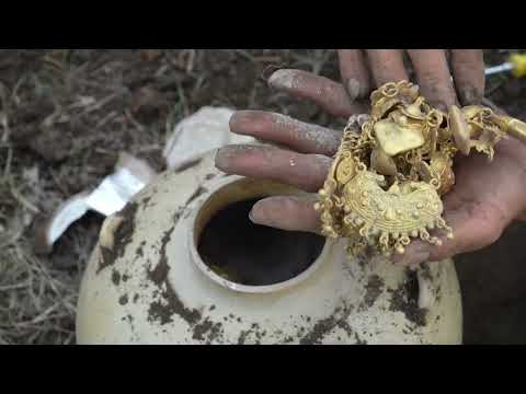 The boy accidentally discovered a large snake treasure in the deep cave