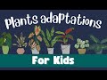 Plant Adaptations and Survival Strategies