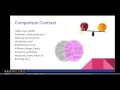 Exploring Patterns of Organization in Essay Writing
