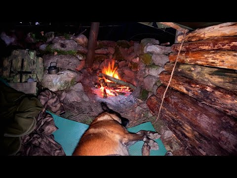 Solo BUSHCRAFT SURVIVAL SHELTER CAMPING in the wilderness, Campfire Cooking, Nature Sounds, Asmr