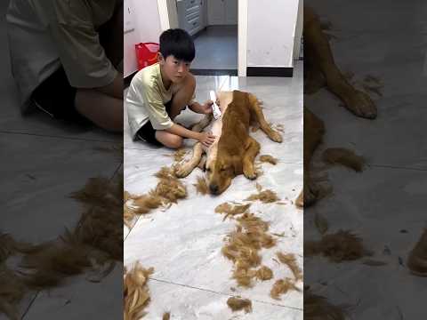 survival skills simple and useful #bushcraft #camping #outdoors