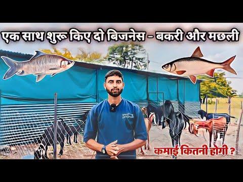 1 महीने पहले बनाया नया बकरी फार्म | My new Business Startup Goat And Fish farming