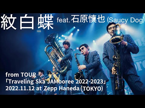 紋白蝶 feat.石原慎也 (Saucy Dog) [from Traveling Ska JAMboree 2022-2023] / TOKYO SKA PARADISE ORCHESTRA