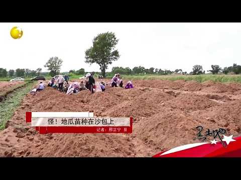 黑土地 20250711：