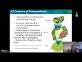 Photosynthesis and Energy Transfer Concepts