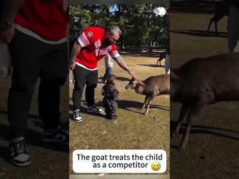 Kids and goats #usa #foryou #pets #fpy#goat