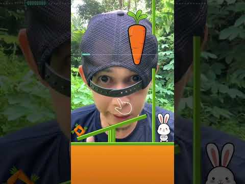 Amazing game brainrot, kelinci bobob jangan ambil wortelku