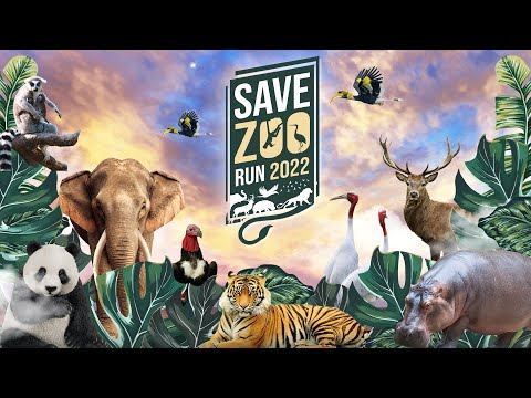 save zoo run songkhla