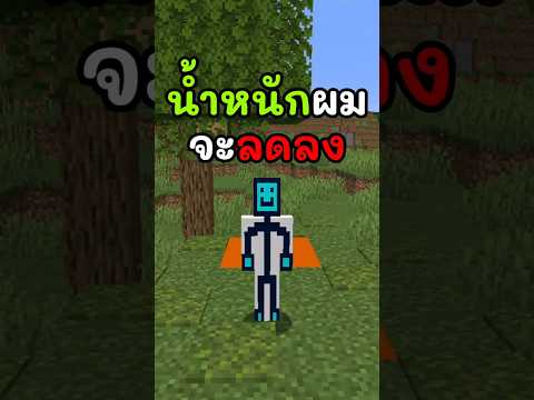มายคราฟแต่ถ้าโดนสีเขียว"น้ำหนัก"จะลดลง