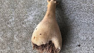 12 Most Incredible And Mysterious Finds That Really Exist