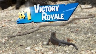 Fortnite Iguana Royale