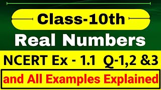 Class 10 | Chapter 1 | Ex 1.1 Question 1,2 and 3 | Real Numbers | NCERT 2024-25