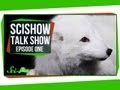 Rhino Horns and Arctic Fox Adaptations