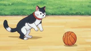 A cat plays basketball and falls down because of injurie.