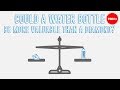 Understanding the Paradox of Value and Utility