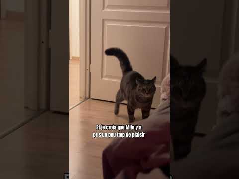  C’était sûr que ça allait mal finir