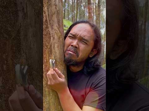 PROTECT trees for our EARTH 🌳🌎 #campping #survival #bushcraft #outdoors