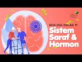 Sistem Saraf dan Hormon