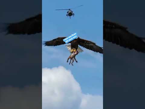 সন্তানের জন্য মা কত ব্যাকুল হয়ে যায় শেয়ার করে দিন #lifeisbutadream