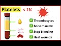 Blood Components and Functions