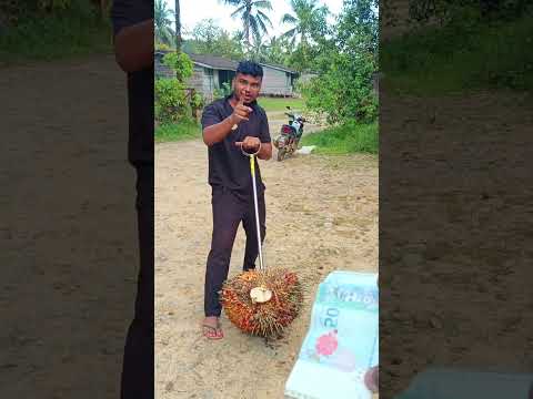 50 রিংগিত চ্যালেঞ্জ #malaysia #পাম_বাগান