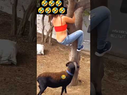 😅😂🤣#funny #funnyvideos #hilariousfails #shorts #comedy #shortsviral #funnyshorts #shortsfeed