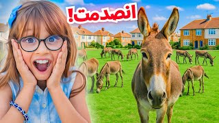 صدمنا بنتنا ايلين واخذناها لمدينة الحمير 😅!!