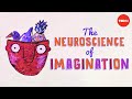 Understanding Mental Synthesis and Neuronal Coordination