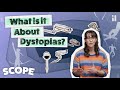 Dystopian Literature Themes and Concepts