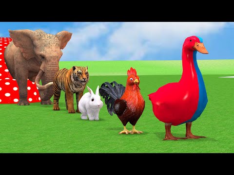 Paint & Animals Duck,Gorilla,Lion,Elephant,Cow,Sheep Fountain Crossing Transformation Animal Cartoon