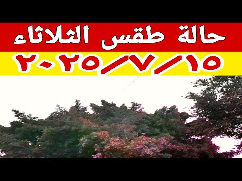 سحب منخفضة ورياح نشطة وارتفاع شديد في الحرارة في حالة الطقس غدا الثلاثاء ٢٠٢٥/٧/١٥ في مصر