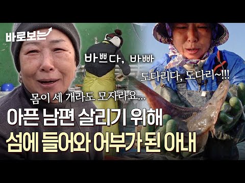 "처음에는 무섭더라고" 암 진단받은 아픈 남편 살리기 위해 한적한 섬마을에 들어와 어부가 된 아내｜#바로보는사노라면