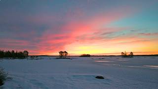 🔴 Live vom Polarkreis in Nordschweden 🇸🇪 [Slow TV]