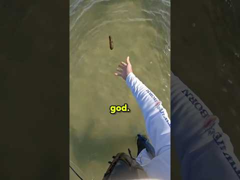 He Shouldntโve Touched Itโฆ ๐ (flyfishdelawhere)
