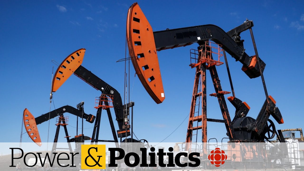 What fossil fuel subsidies does Ottawa define as efficient?