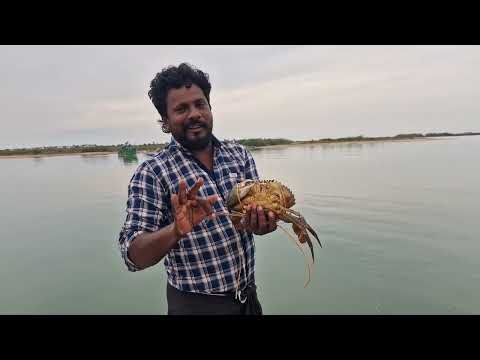 1 நண்டு 2800 ரூபாய் ஸ்கூல்ளுக்கு பிள்ளைங்களுக்கு ரெடி பண்ணி குடுக்க போறம்