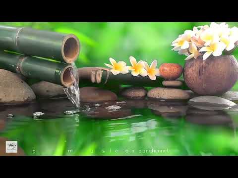 Relaxing Music to Relieve Stress, Anxiety and Depression 🌿 Heals The Mind, Body and Soul