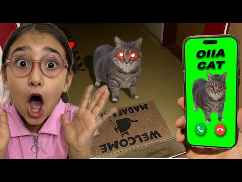 ELİF ASEL, OIIAOIIA CAT EXE KEDİ ARIYOR