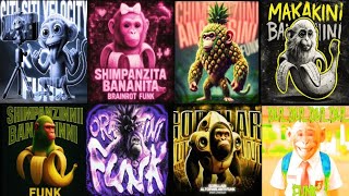 Komplikasi Lagu Anomali Monyet ( Monkey Brainrot Song Complications )