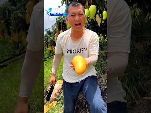 काट दूँगा पेड़ ?~mini wood toy- woodworking art skill/ hands craft idea #shorts #mango #tiktok