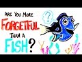 Understanding Fish Perception and Memory