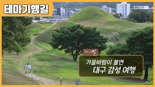 가을바람이 불면 대구 감성 여행 다시보기