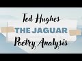Analyzing Ted Hughes' Poem: The Jaguar