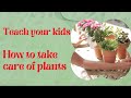Plant Care and Growth Essentials