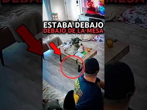 Su perro regresó por ultima vez...