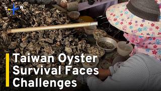 YouTube video thumbnail: Taiwan's Oyster Farmers Battle Climate Change and Parasites