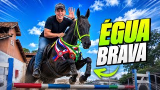 TREINANDO a Égua ASSUSTADA * Pérola Negra do MJE