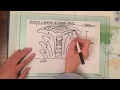 Tropical Storms and Climate Change