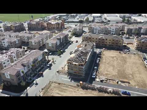 Palmera welcome video