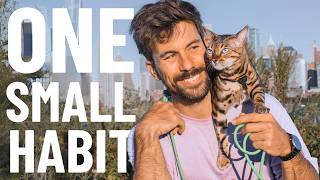 One Small Habit That Changed Everything for Me and My Cat